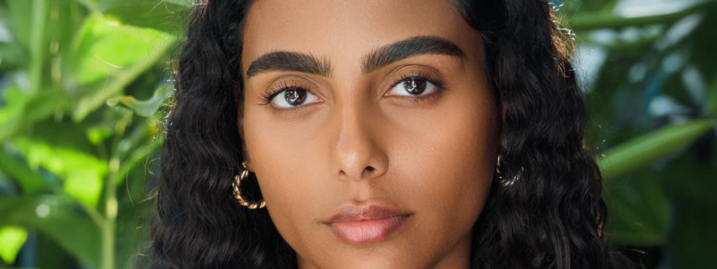 Brows
